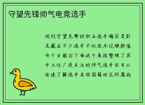守望先锋帅气电竞选手